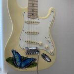 Blue Morph on Strat